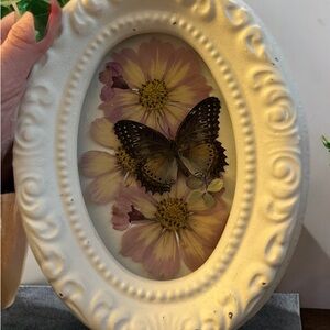 Vintage frame with real butterfly and real pressed flowers